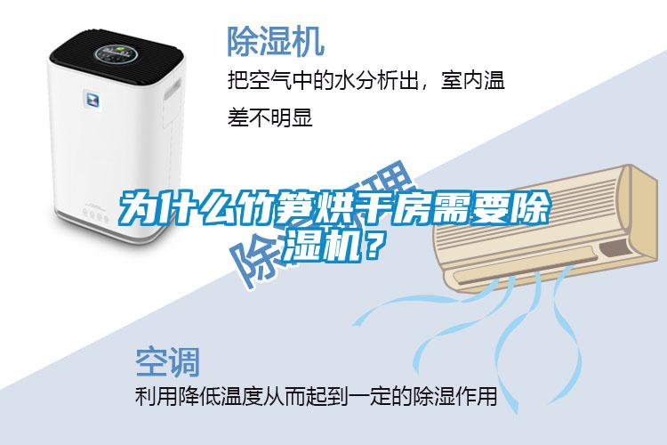 為什么竹筍烘干房需要除濕機？
