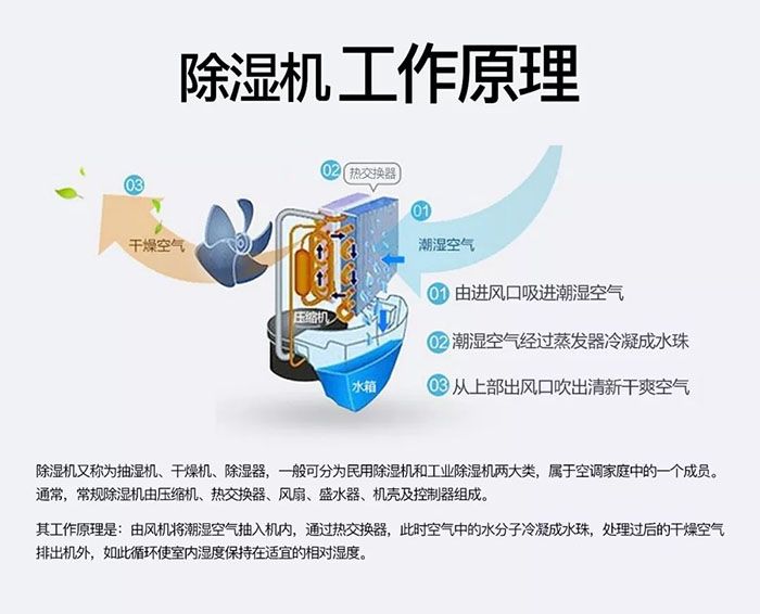 對抗梅雨天，絕不認輸！