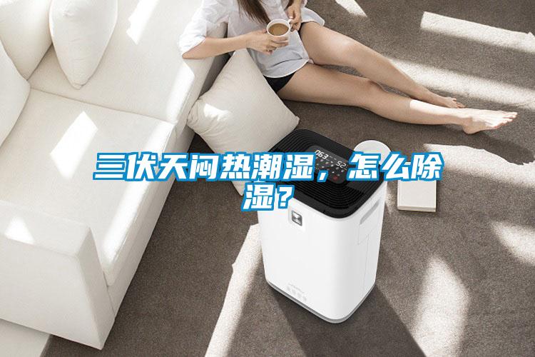 三伏天悶熱潮濕，怎么除濕？
