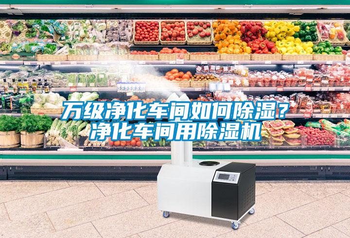 萬級(jí)凈化車間如何除濕？?jī)艋囬g用除濕機(jī)