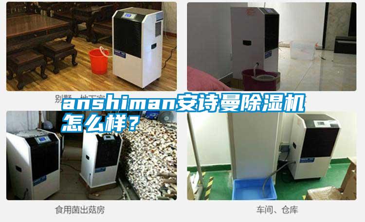 anshiman安詩曼除濕機怎么樣？