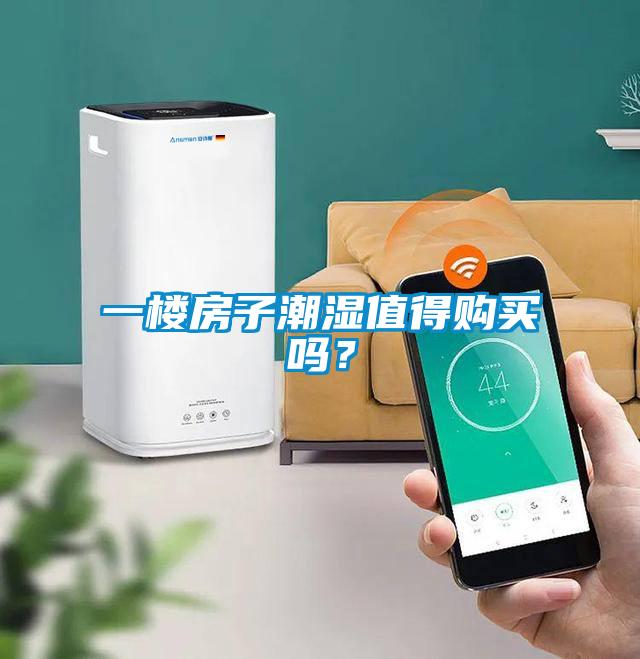 一樓房子潮濕值得購買嗎？