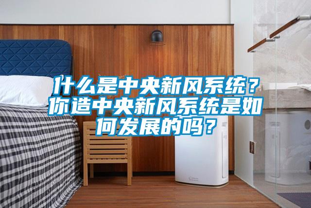 什么是中央新風系統？你造中央新風系統是如何發展的嗎？