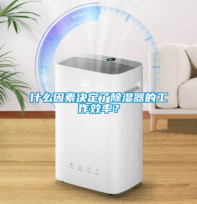 什么因素決定了除濕器的工作效率？