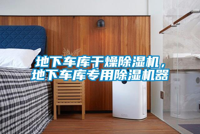 地下車庫(kù)干燥除濕機(jī)，地下車庫(kù)專用除濕機(jī)器