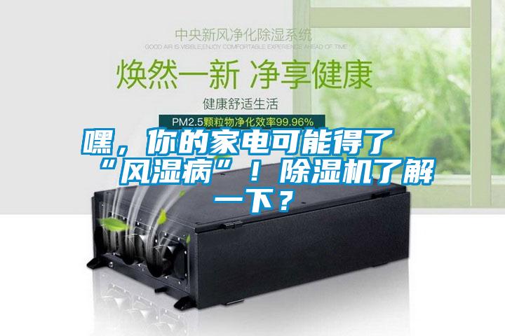 嘿，你的家電可能得了“風(fēng)濕病”！除濕機了解一下？