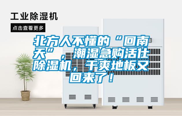 北方人不懂的“回南天”，潮濕急購活仕除濕機，干爽地板又回來了！