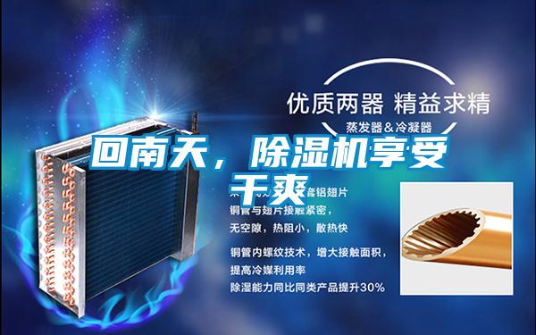 回南天，除濕機享受干爽