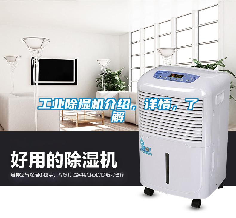 工業除濕機介紹，詳情，了解