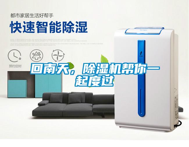 回南天，除濕機幫你一起度過
