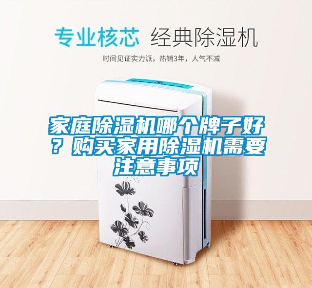 家庭除濕機哪個牌子好？購買家用除濕機需要注意事項