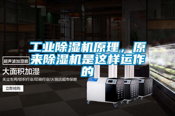 工業除濕機原理，原來除濕機是這樣運作的