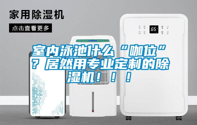 室內泳池什么“咖位”？居然用專業定制的除濕機?。。?/></p>
						    <p style=