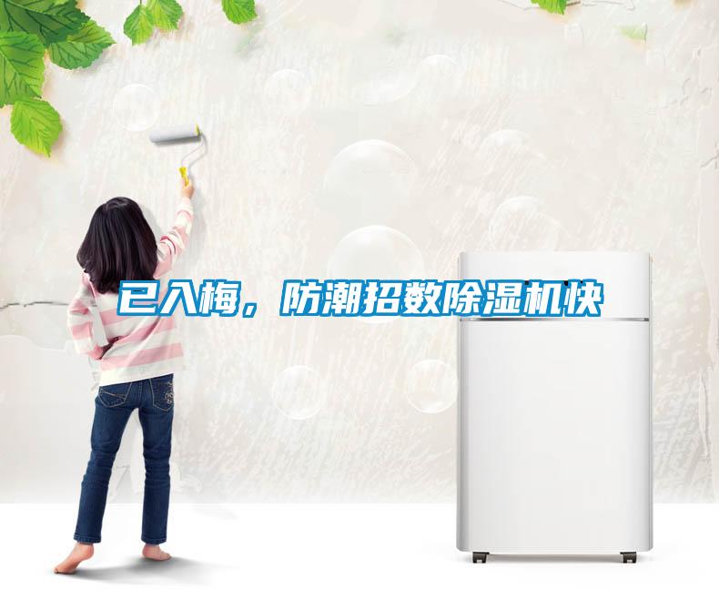 已入梅，防潮招數(shù)除濕機快