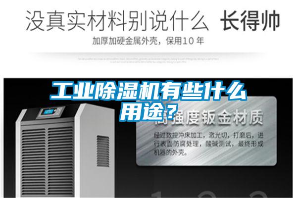 工業除濕機有些什么用途？