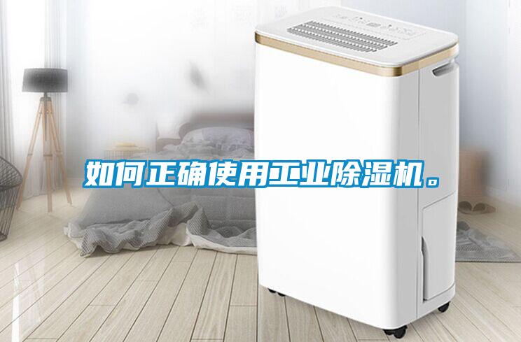 如何正確使用工業除濕機。