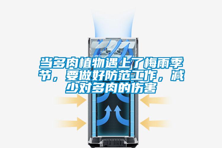 當多肉植物遇上了梅雨季節，要做好防范工作，減少對多肉的傷害