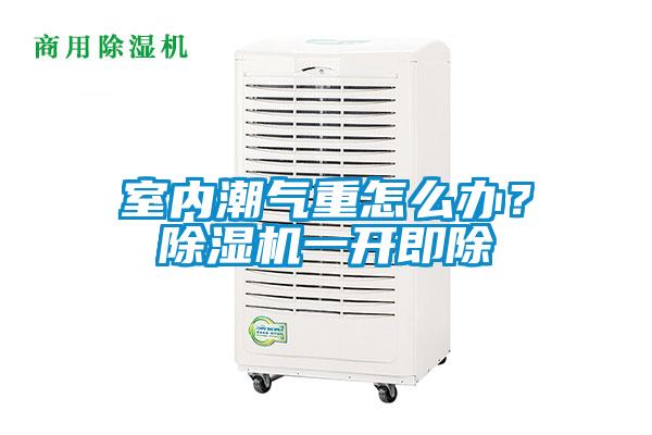 室內(nèi)潮氣重怎么辦？除濕機(jī)一開即除