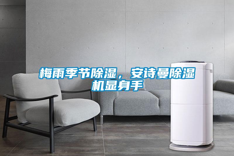 梅雨季節除濕，安詩曼除濕機顯身手