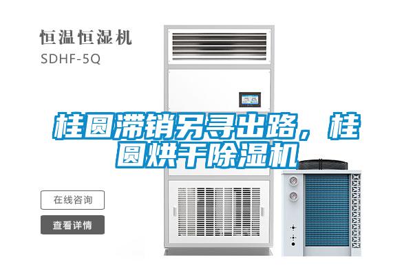 桂圓滯銷另尋出路，桂圓烘干除濕機(jī)