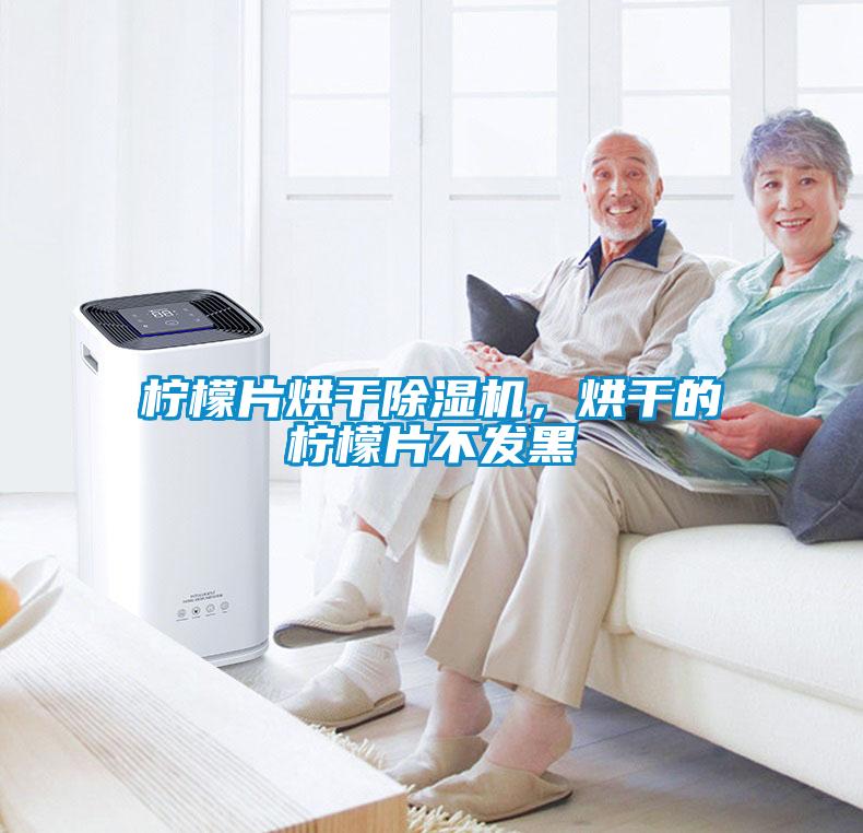 檸檬片烘干除濕機，烘干的檸檬片不發黑