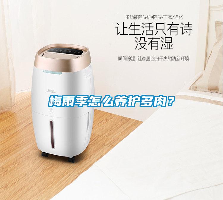 梅雨季怎么養護多肉?