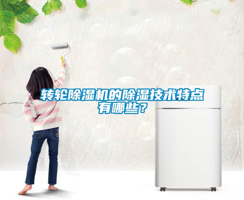 轉輪除濕機的除濕技術特點有哪些？