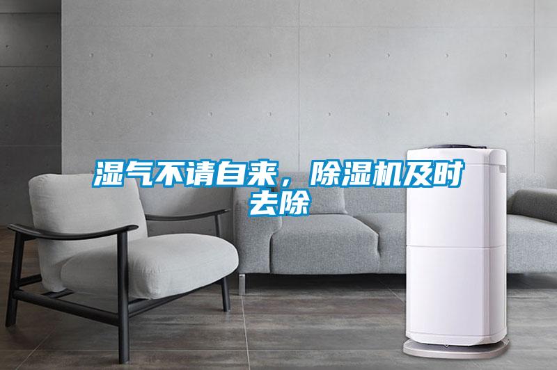 濕氣不請(qǐng)自來(lái)，除濕機(jī)及時(shí)去除