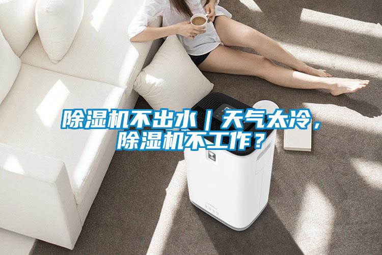 除濕機不出水｜天氣太冷，除濕機不工作？