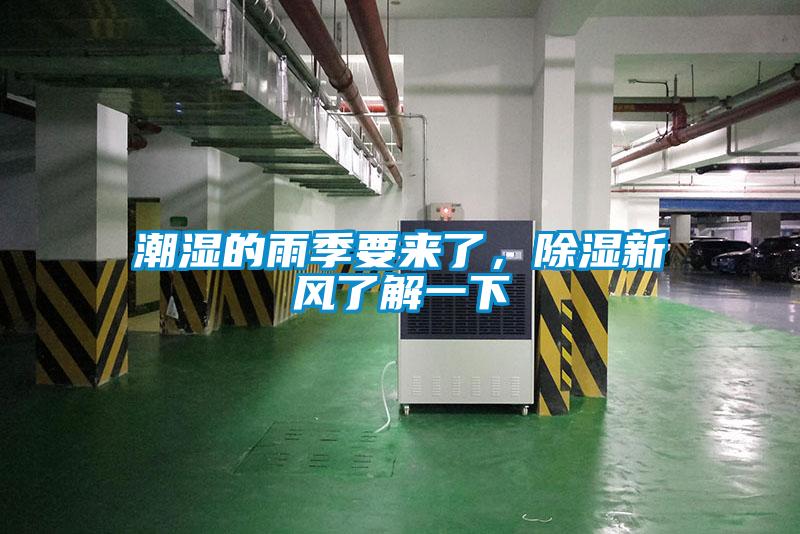 潮濕的雨季要來了，除濕新風了解一下