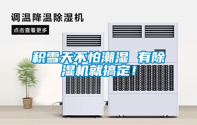 積雪天不怕潮濕 有除濕機就搞定！