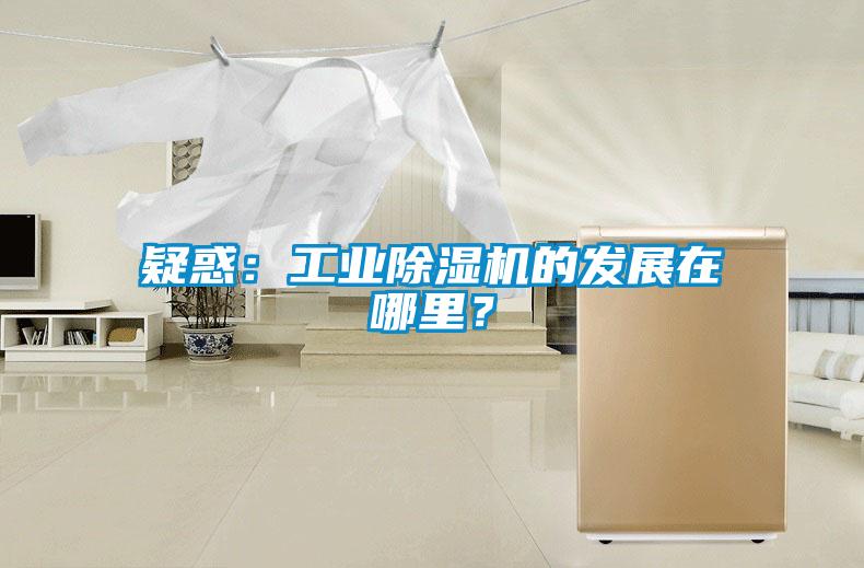 疑惑：工業除濕機的發展在哪里？