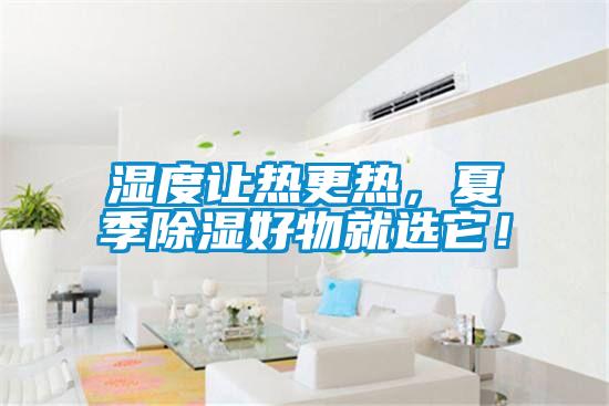 濕度讓熱更熱，夏季除濕好物就選它！