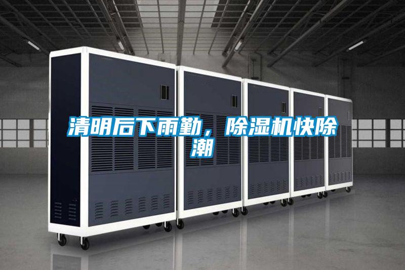 清明后下雨勤，除濕機快除潮
