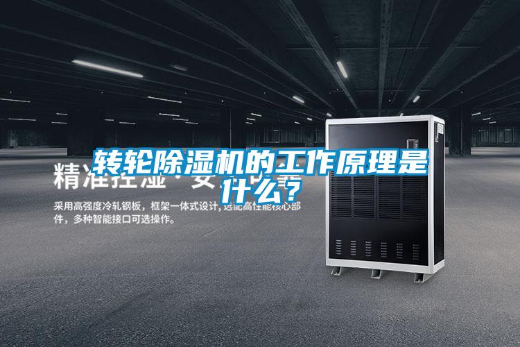 轉輪除濕機的工作原理是什么？