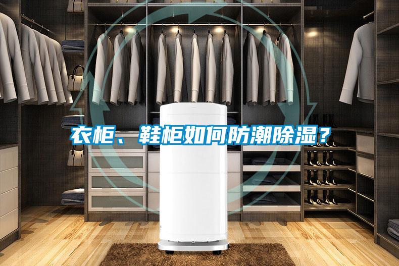 衣柜、鞋柜如何防潮除濕？