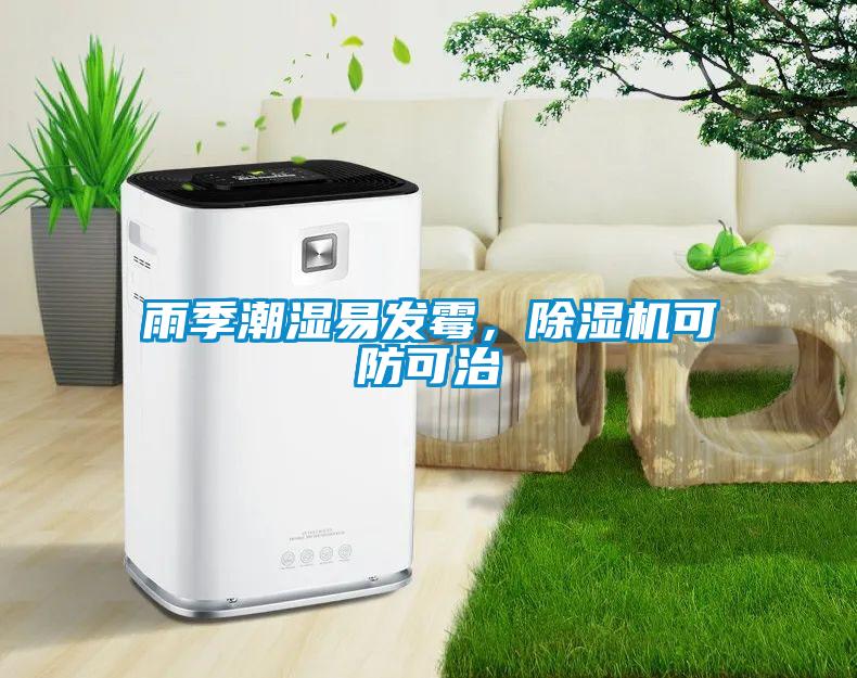 雨季潮濕易發霉，除濕機可防可治