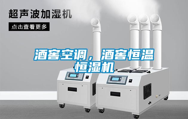 酒窖空調(diào)，酒窖恒溫恒濕機(jī)