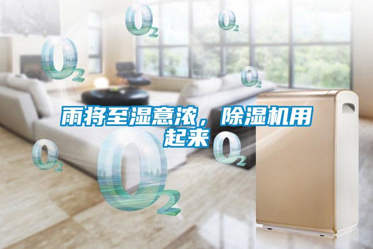 雨將至濕意濃，除濕機用起來