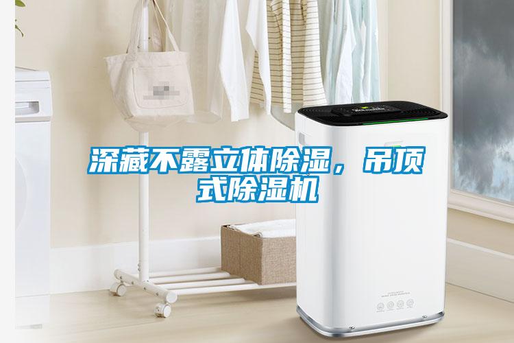 深藏不露立體除濕，吊頂式除濕機
