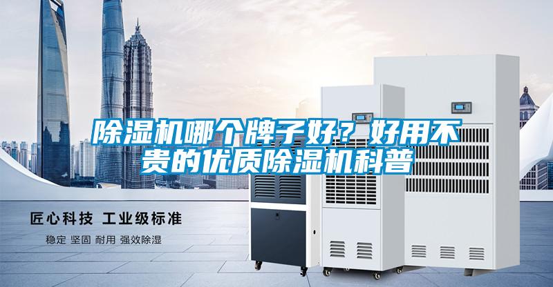 除濕機哪個牌子好？好用不貴的優質除濕機科普