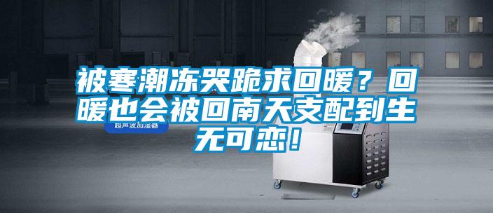被寒潮凍哭跪求回暖？回暖也會(huì)被回南天支配到生無(wú)可戀！