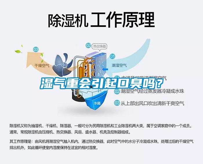 濕氣重會引起口臭嗎？