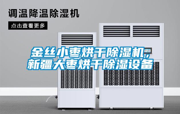 金絲小棗烘干除濕機，新疆大棗烘干除濕設備