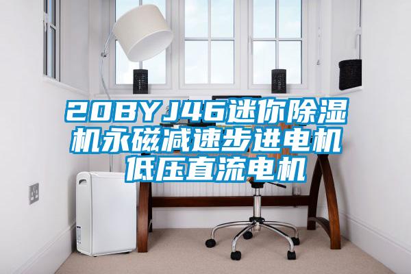 20BYJ46迷你除濕機(jī)永磁減速步進(jìn)電機(jī) 低壓直流電機(jī)