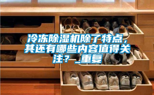 冷凍除濕機除了特點，其還有哪些內(nèi)容值得關注？_重復
