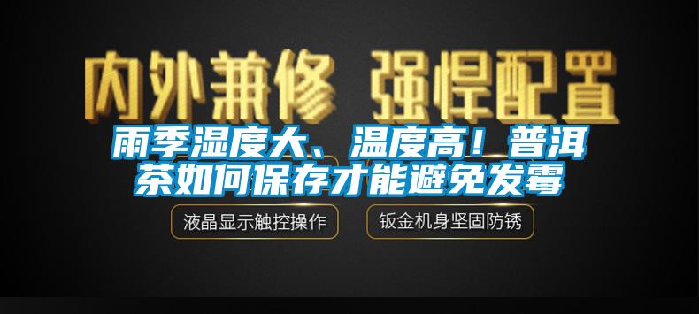 雨季濕度大、溫度高！普洱茶如何保存才能避免發(fā)霉