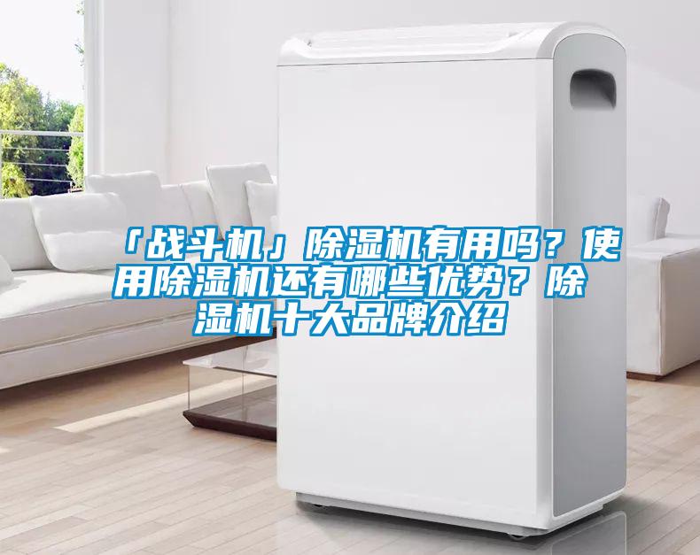 「戰(zhàn)斗機(jī)」除濕機(jī)有用嗎？使用除濕機(jī)還有哪些優(yōu)勢？除濕機(jī)十大品牌介紹