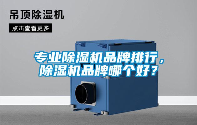 專業(yè)除濕機(jī)品牌排行，除濕機(jī)品牌哪個(gè)好？