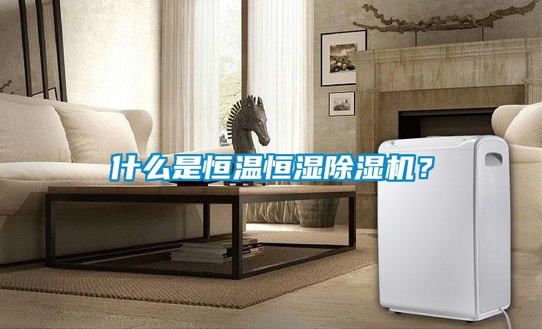 什么是恒溫恒濕除濕機(jī)？
